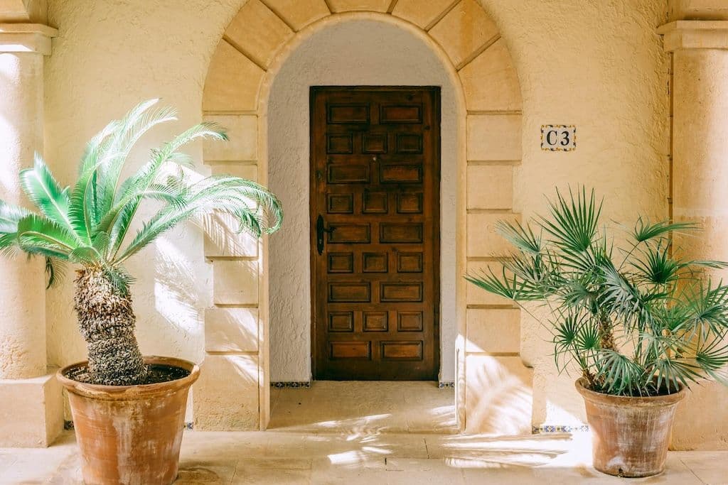 Deux palmiers en pot devant une entrée de maison