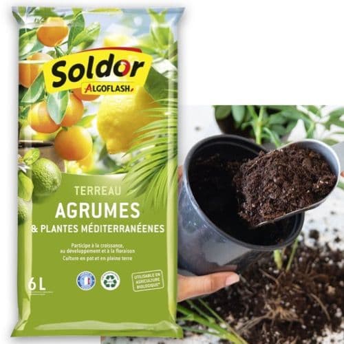 Terreau Agrume