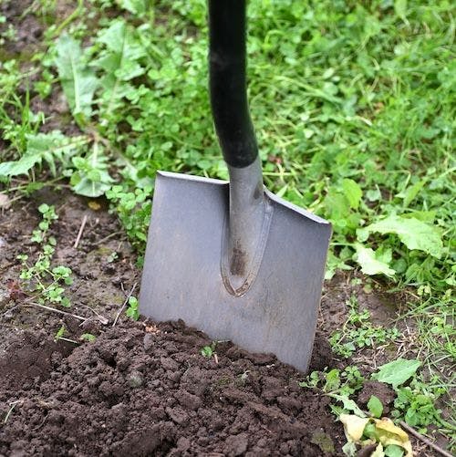 Que peut-on trouver dans une jardinerie en ligne ? 🌱